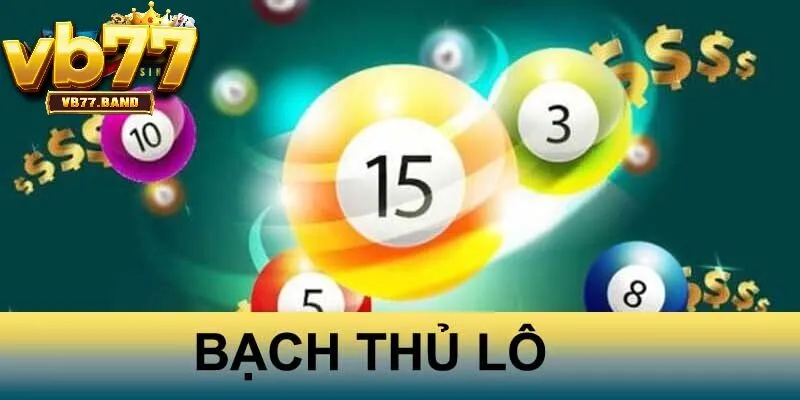 Bạch thủ lô VB77 là gì?